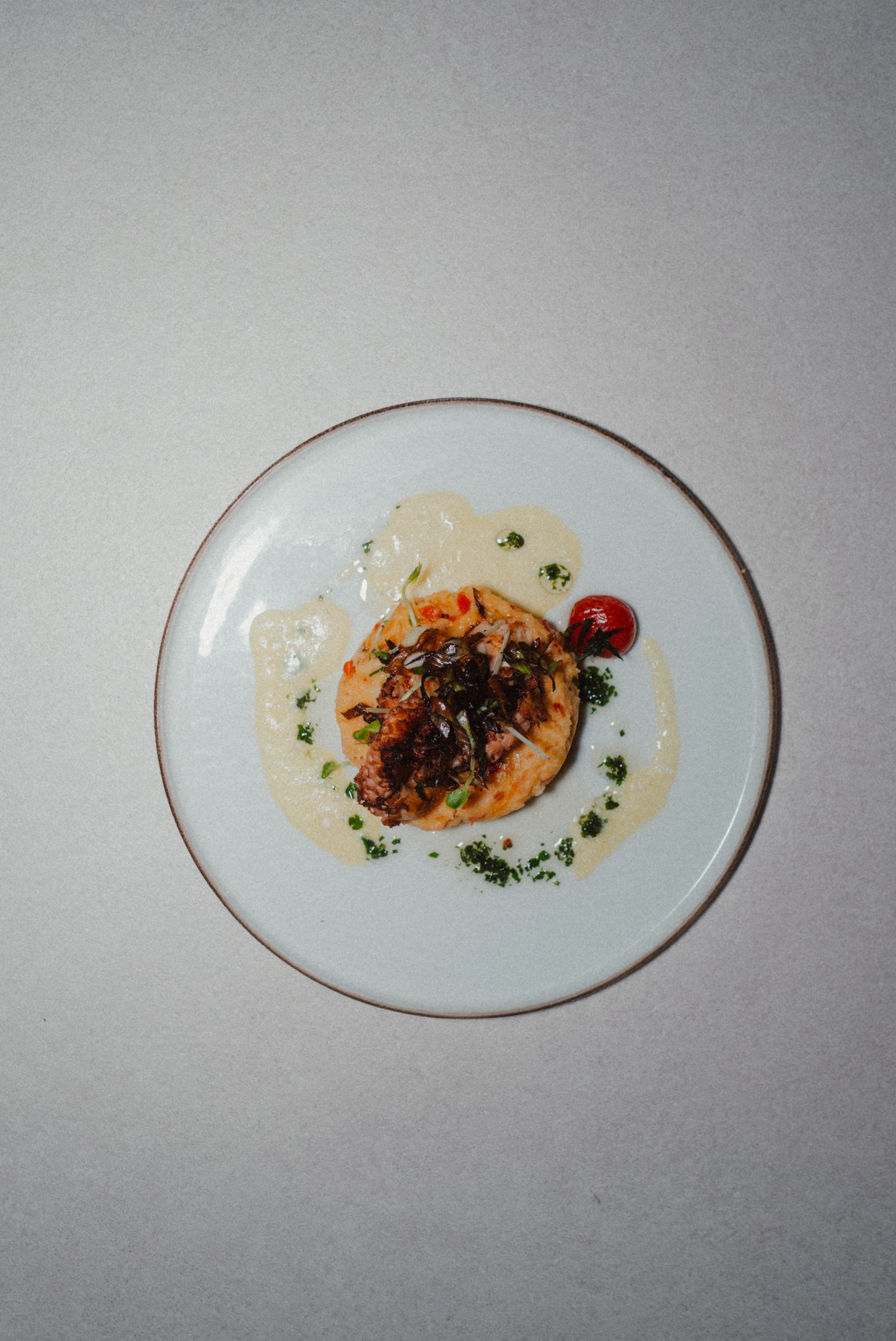 Papillon Impression 3